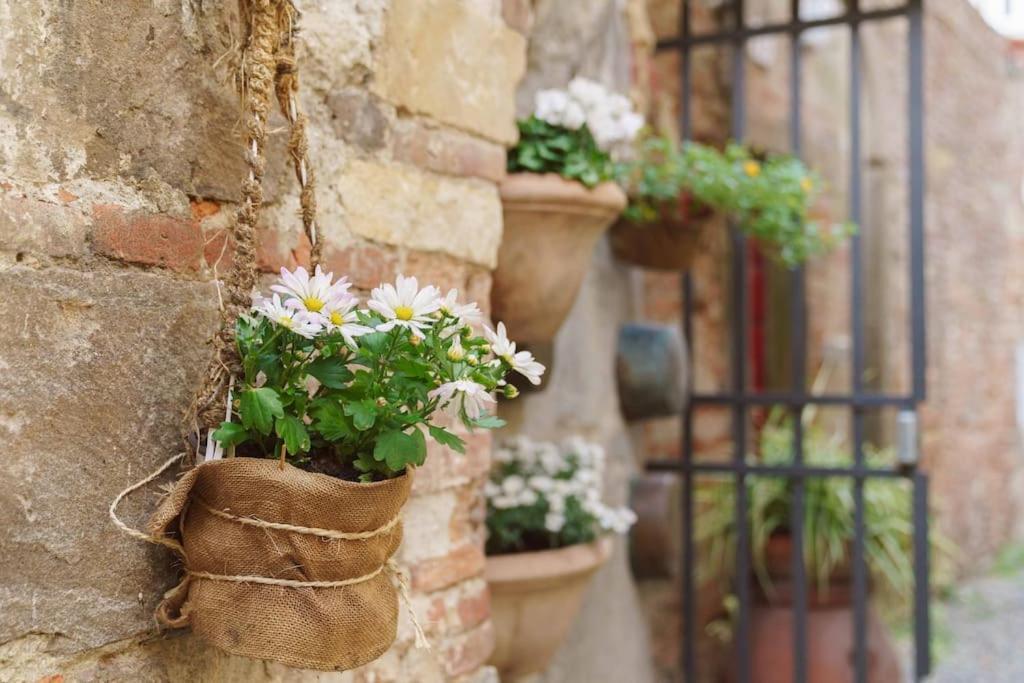 Corte Paolina - Charming Courtyard Inside ลุคคา ภายนอก รูปภาพ