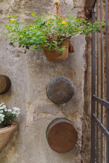 Corte Paolina - Charming Courtyard Inside ลุคคา ภายนอก รูปภาพ